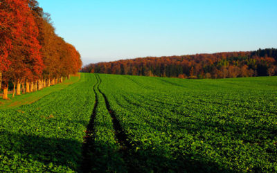 Agricultores, aliados del medio ambiente