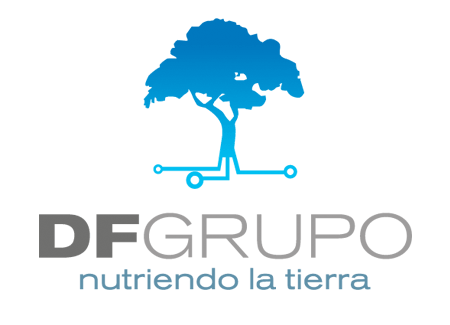 DF Grupo