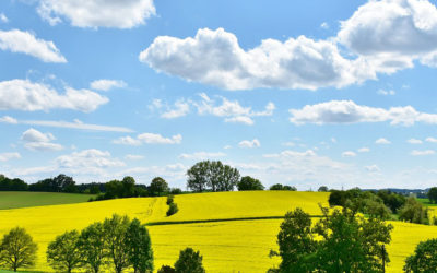 Día Mundial del Medio Ambiente 2023