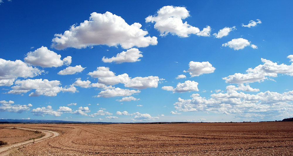 Día Mundial del Medio Ambiente