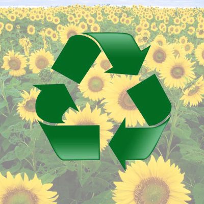 Jornada sobre plásticos y economía circular