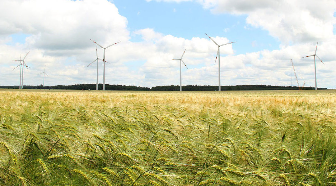 Día Internacional contra el Cambio Climático