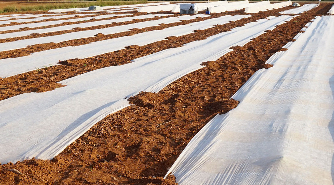 Los plásticos en la agricultura