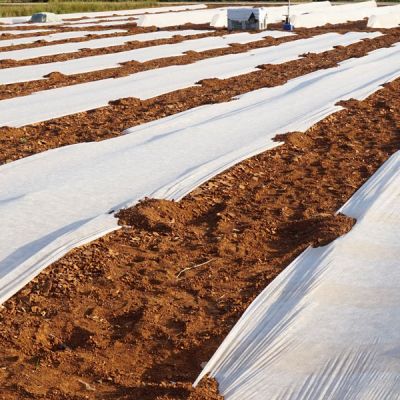 Los plásticos en la agricultura