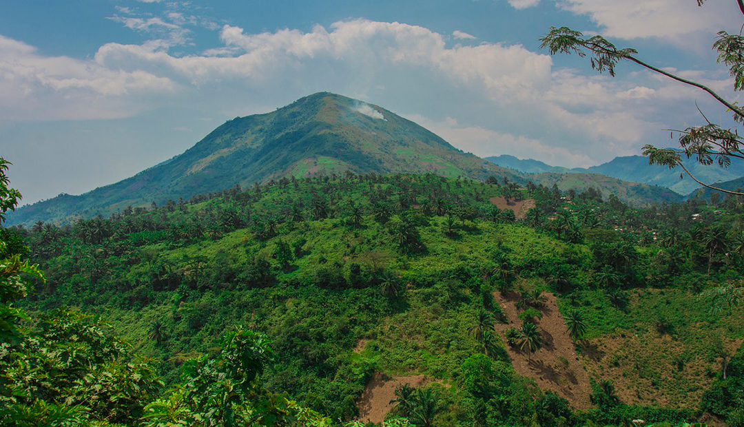 Biodiversidad paisaje