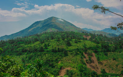 Biodiversidad