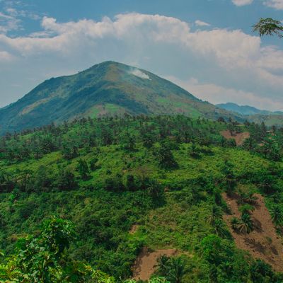 Biodiversidad paisaje