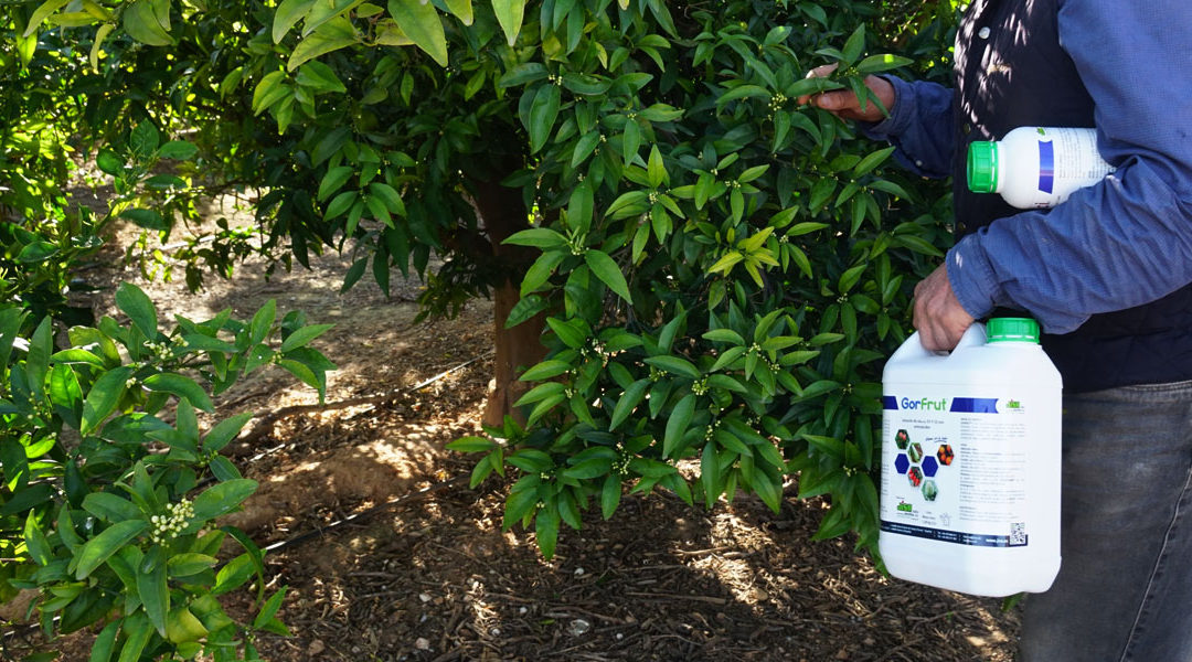 Envases agrícolas de fertilizantes para cítricos