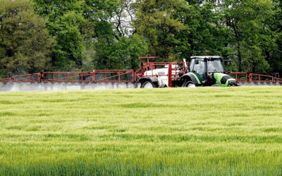 Bioestimulantes agrícolas