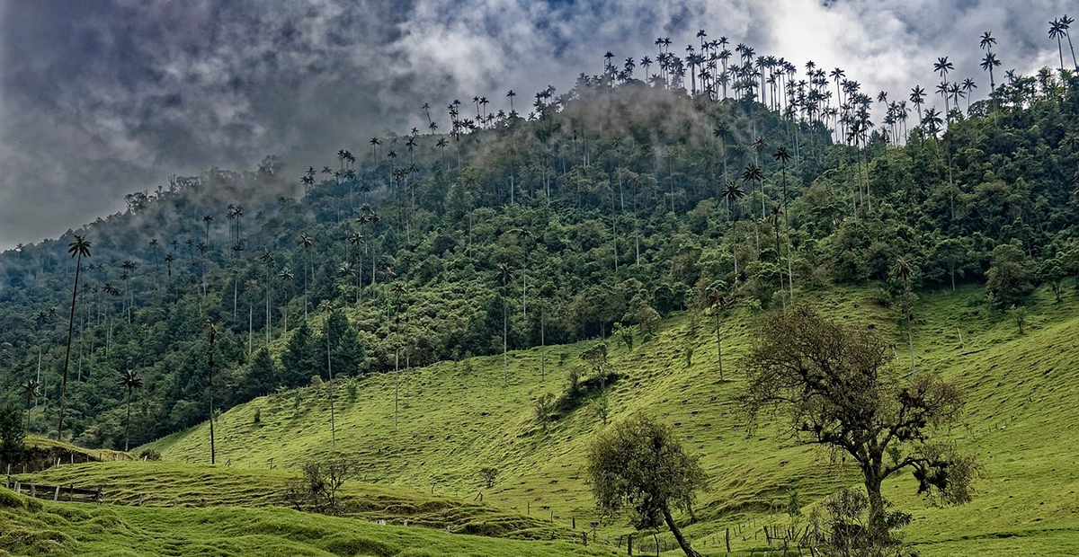 Colombia