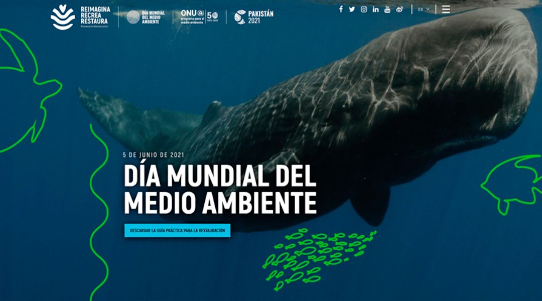 Día Mundial del Medio Ambiente 2021