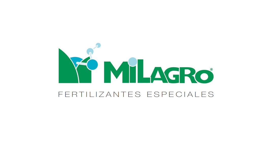 Alba Milagro