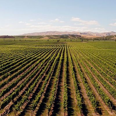 Empresas fabricantes de fertilizantes