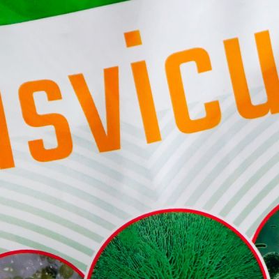 Fusvicur