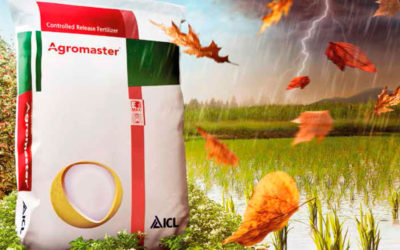 Abonos de liberación controlada Agromaster