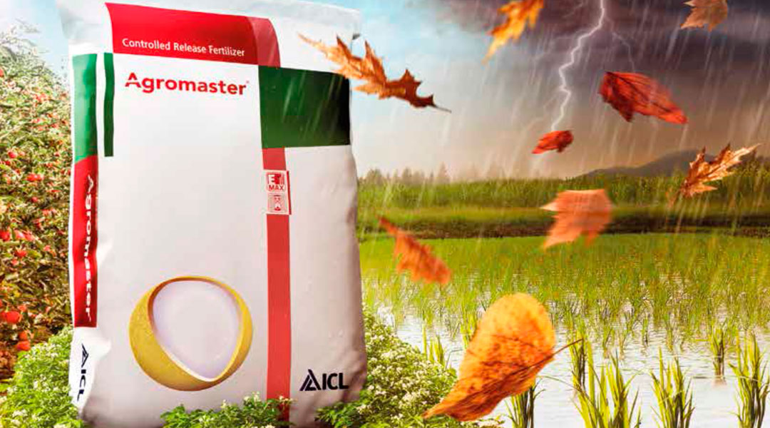 Abonos de liberación controlada Agromaster