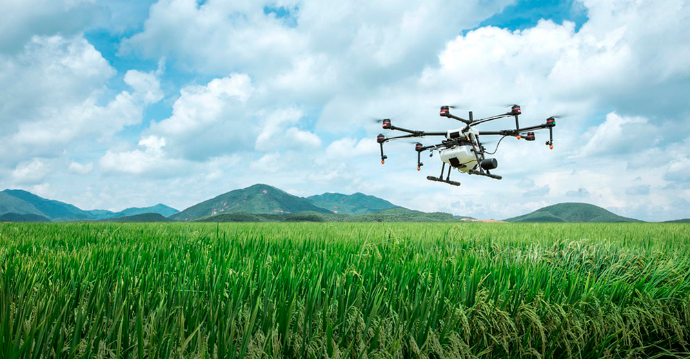 Dron de uso en agricultura