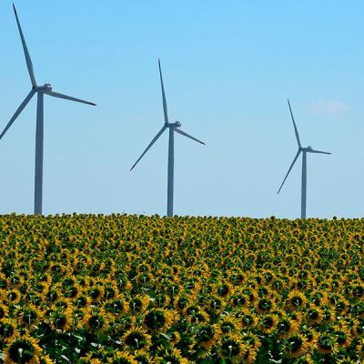 Día Internacional contra el cambio climático