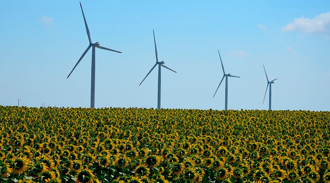 Día Internacional contra el Cambio Climático