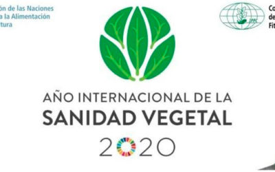 Año Internacional de la Sanidad Vegetal