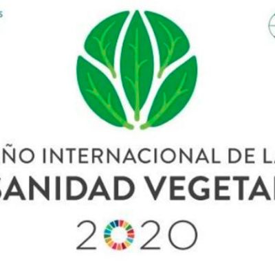 Año Internacional de la Sanidad Vegetal