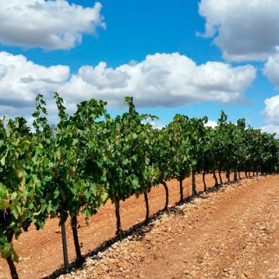 Recogida itinerante de envases agrícolas en La Rioja