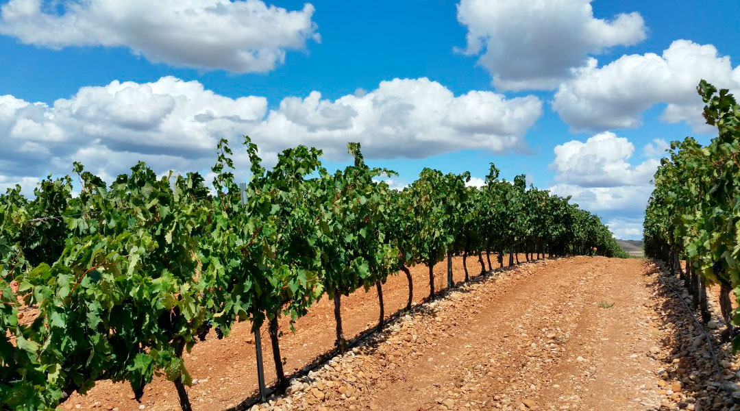 Recogida itinerante de envases agrícolas en La Rioja