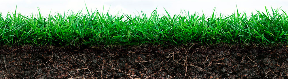 Catálogo de fertilizantes Agricotec