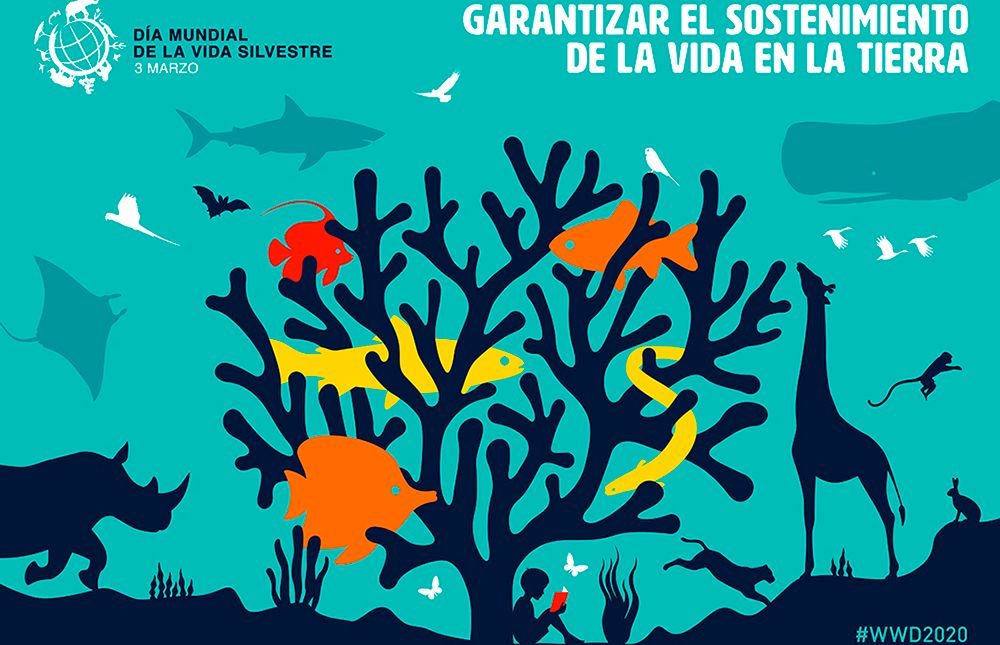 Día mundial 3 marzo