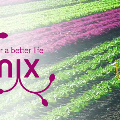 Olmix Plant Care