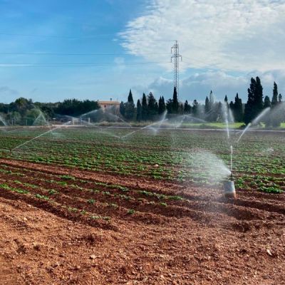 Los Asociados a AEVAE pueden vender en Baleares