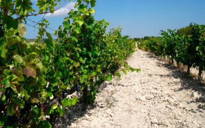 Recogida itinerante de envases agrarios en La Rioja