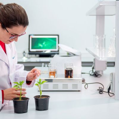 Laboratorio de Tecnicrop