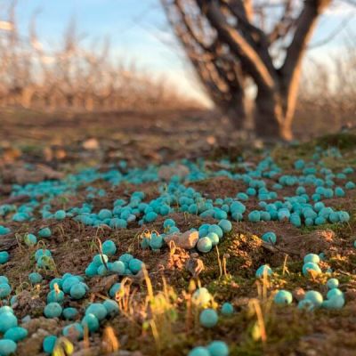 Abono granulado para frutales