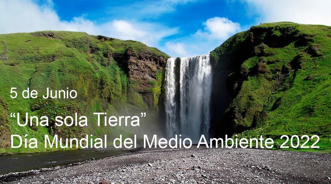 Día Mundial del Medio Ambiente 2022