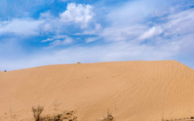 Día Mundial de Lucha contra la Desertificación y la Sequía 2022