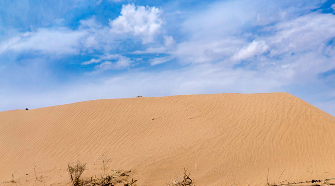 Día Mundial de Lucha contra la Desertificación y la Sequía 2022