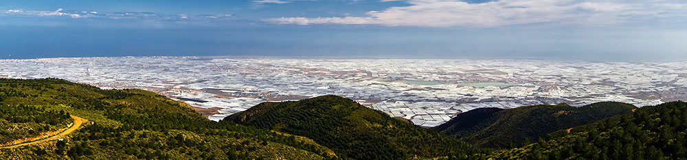 Invernaderos en Almería