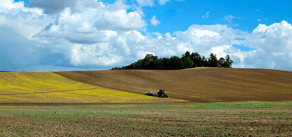 Cultivando la tierra