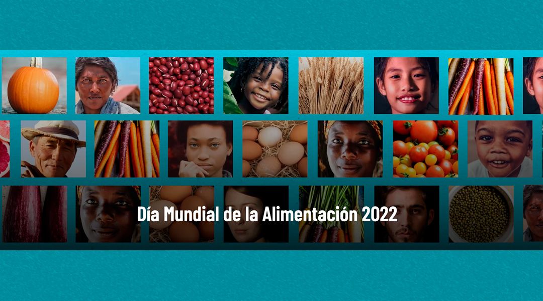 Día Mundial de la Alimentación 2022