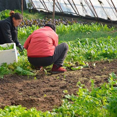 Cooperativa de mujeres rurales