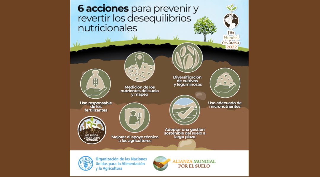6 acciones para un suelo sano