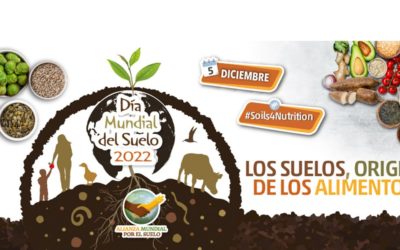 Día Mundial del Suelo