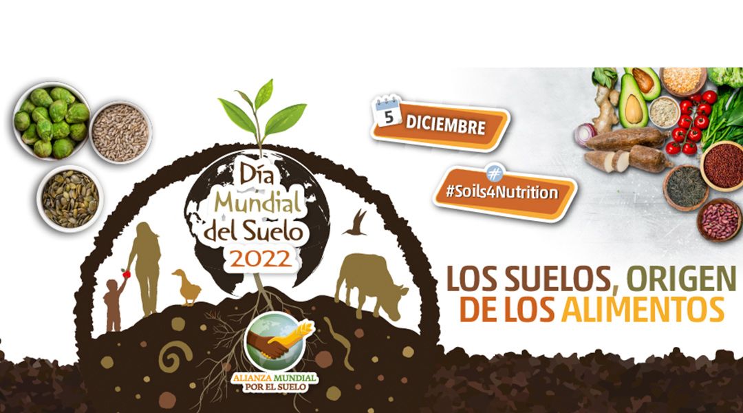 Día Mundial del Suelo
