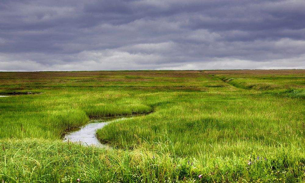 Humedal Albufera