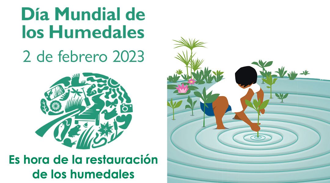 Es hora de restaurar los humedales 2023