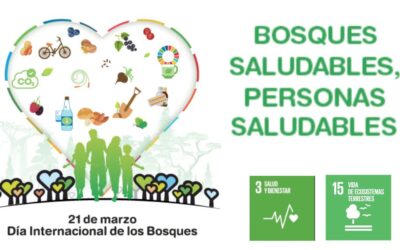 Día Mundial de los Bosques 2023