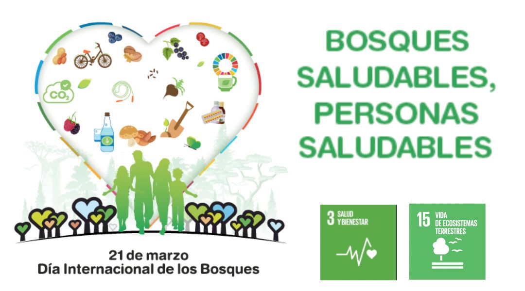 Día Mundial de los Bosques 2023