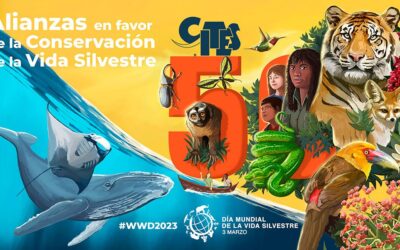 Día Mundial de la Vida Silvestre 2023
