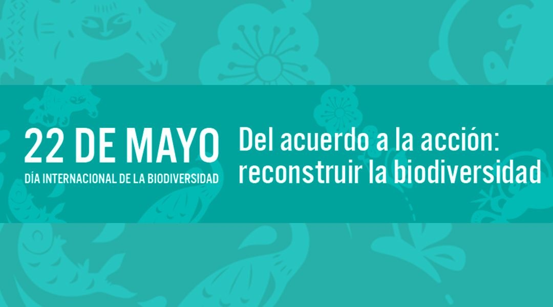 Logo Día de la Biodiversidad